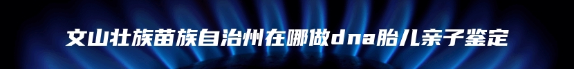 文山壮族苗族自治州在哪做dna胎儿亲子鉴定