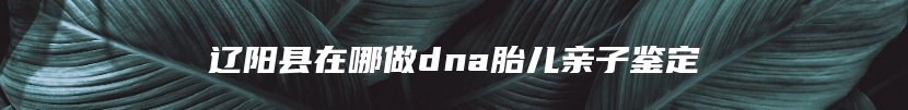 辽阳县在哪做dna胎儿亲子鉴定