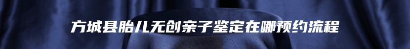 方城县胎儿无创亲子鉴定在哪预约流程