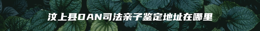 汶上县DAN司法亲子鉴定地址在哪里