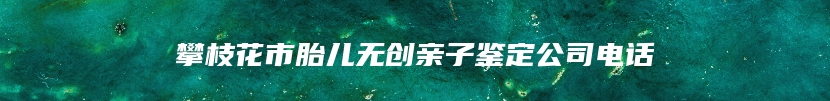 攀枝花市胎儿无创亲子鉴定公司电话