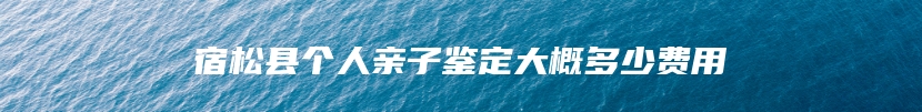 宿松县个人亲子鉴定大概多少费用