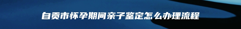 自贡市怀孕期间亲子鉴定怎么办理流程