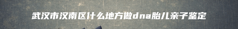 武汉市汉南区什么地方做dna胎儿亲子鉴定