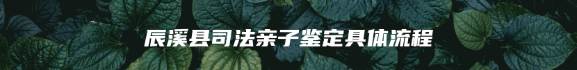 辰溪县司法亲子鉴定具体流程