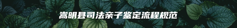 嵩明县司法亲子鉴定流程规范
