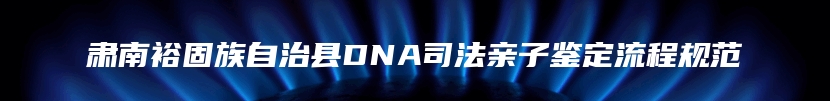 肃南裕固族自治县DNA司法亲子鉴定流程规范