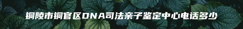 铜陵市铜官区DNA司法亲子鉴定中心电话多少