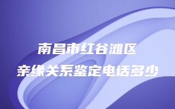 南昌市红谷滩区亲缘关系鉴定电话多少