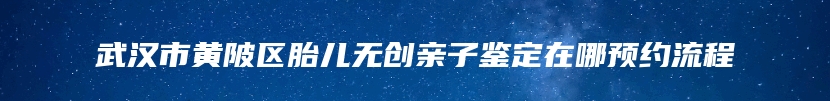武汉市黄陂区胎儿无创亲子鉴定在哪预约流程