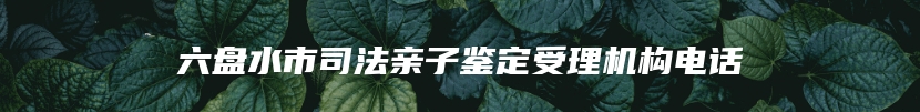 六盘水市司法亲子鉴定受理机构电话