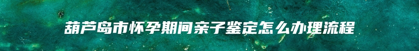 葫芦岛市怀孕期间亲子鉴定怎么办理流程