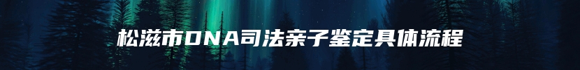 松滋市DNA司法亲子鉴定具体流程