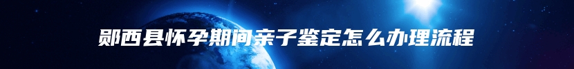 郧西县怀孕期间亲子鉴定怎么办理流程