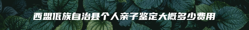 西盟佤族自治县个人亲子鉴定大概多少费用