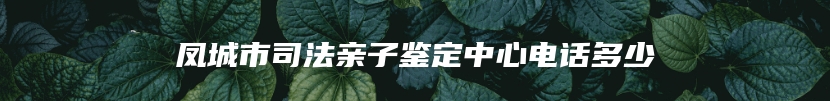 凤城市司法亲子鉴定中心电话多少