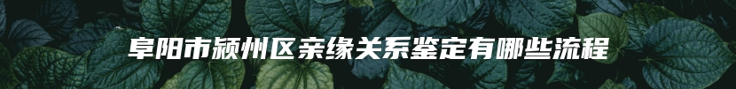 阜阳市颍州区亲缘关系鉴定有哪些流程