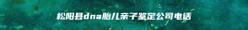 扶余市胎儿无创亲子鉴定怎么办理流程