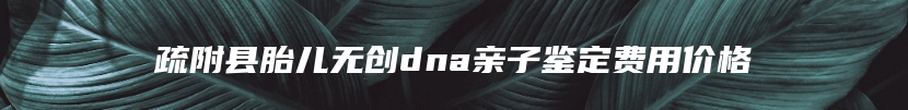 疏附县胎儿无创dna亲子鉴定费用价格