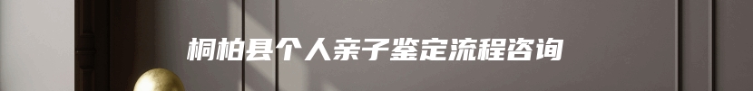 桐柏县个人亲子鉴定流程咨询