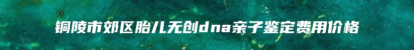 铜陵市郊区胎儿无创dna亲子鉴定费用价格
