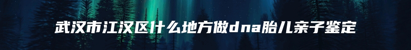 武汉市江汉区什么地方做dna胎儿亲子鉴定