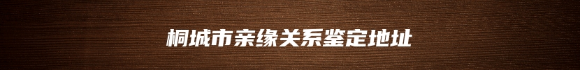 桐城市亲缘关系鉴定地址