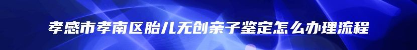 孝感市孝南区胎儿无创亲子鉴定怎么办理流程
