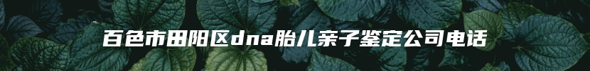 百色市田阳区dna胎儿亲子鉴定公司电话