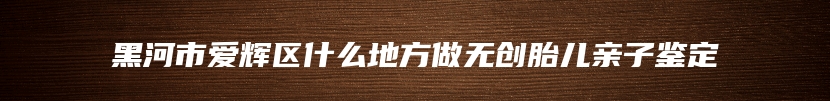 黑河市爱辉区什么地方做无创胎儿亲子鉴定