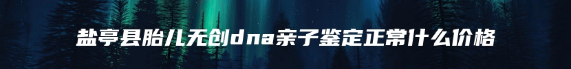 盐亭县胎儿无创dna亲子鉴定正常什么价格