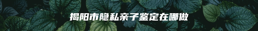 揭阳市隐私亲子鉴定在哪做