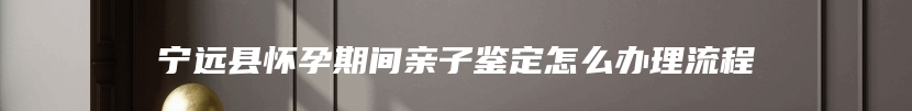 宁远县怀孕期间亲子鉴定怎么办理流程