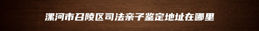 漯河市召陵区司法亲子鉴定地址在哪里