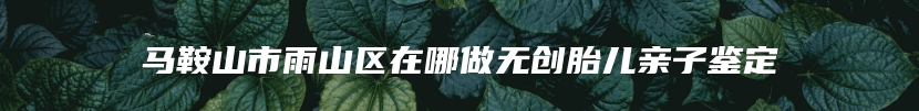 马鞍山市雨山区在哪做无创胎儿亲子鉴定