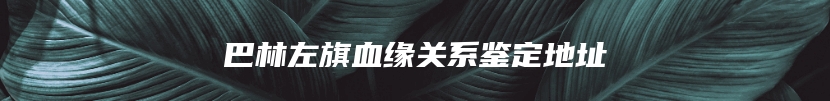 巴林左旗血缘关系鉴定地址