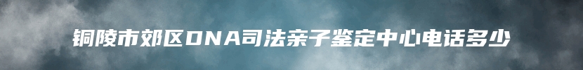 铜陵市郊区DNA司法亲子鉴定中心电话多少