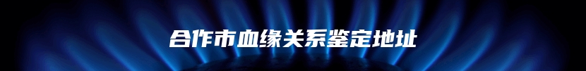 合作市血缘关系鉴定地址