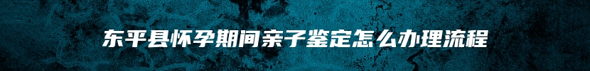 东平县怀孕期间亲子鉴定怎么办理流程