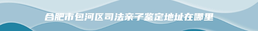 合肥市包河区司法亲子鉴定地址在哪里