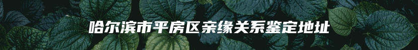 哈尔滨市平房区亲缘关系鉴定地址
