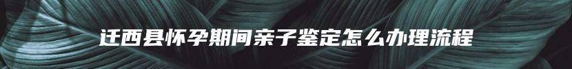 迁西县怀孕期间亲子鉴定怎么办理流程
