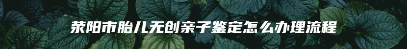 荥阳市胎儿无创亲子鉴定怎么办理流程