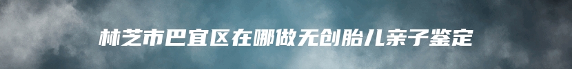 林芝市巴宜区在哪做无创胎儿亲子鉴定