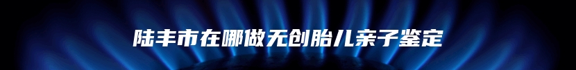 陆丰市在哪做无创胎儿亲子鉴定